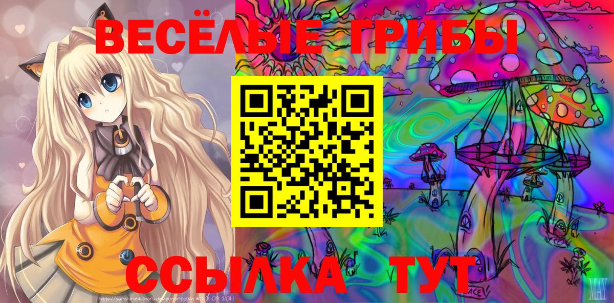 Кизилюрт  Псилоцибиновые грибы Psilocybine cubensis  где купить наркотик  Галлюциногенные грибы MAGIC MUSHROOMS  Вход с VPN 